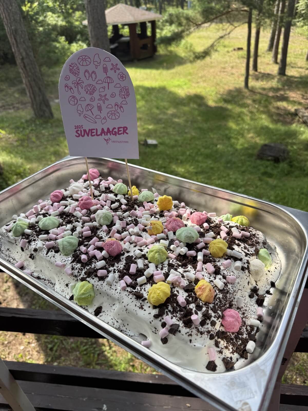 Tantsustaari koolinoorte Suvelaager 2025.